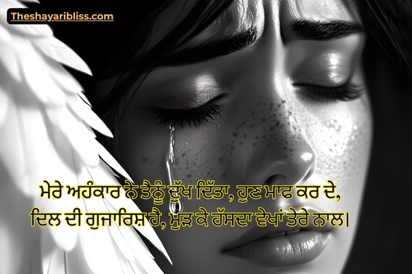 Feeling Sorry Shayari in Punjabi