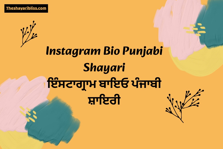 Instagram Bio Punjabi Shayari