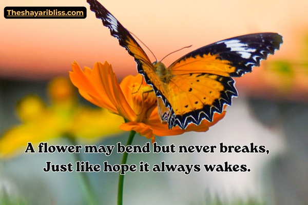 Flower Shayari in English 2 Line